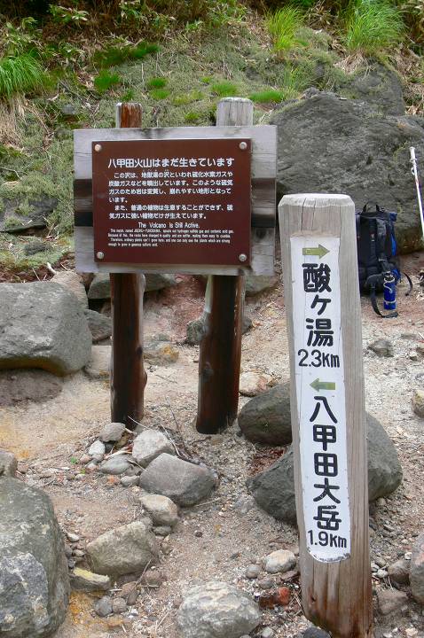 838.jpg