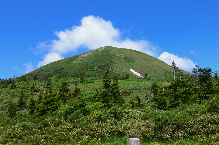 865.jpg