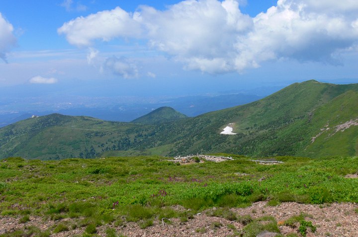 916.jpg
