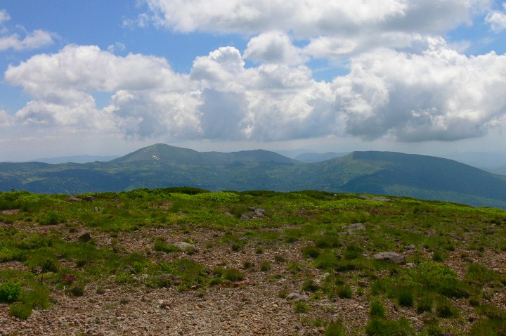 918.jpg