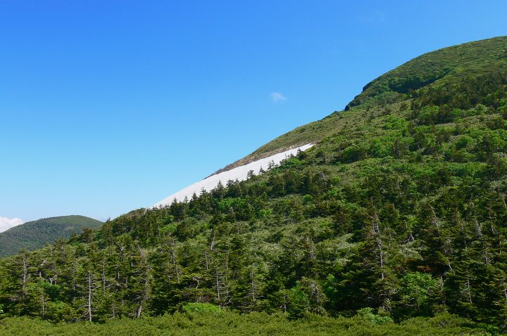 934.jpg