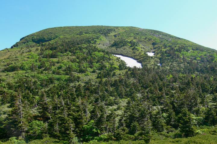 935.jpg