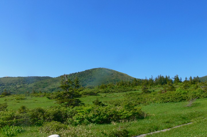 952.jpg