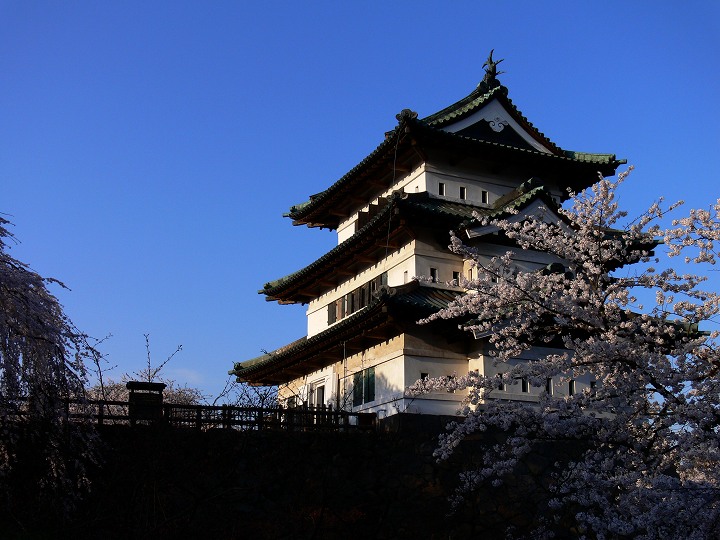P1110788.jpg