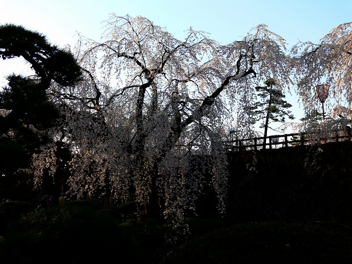 P1110790.jpg