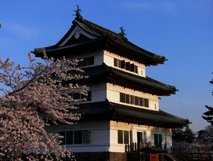 P1110817.jpg