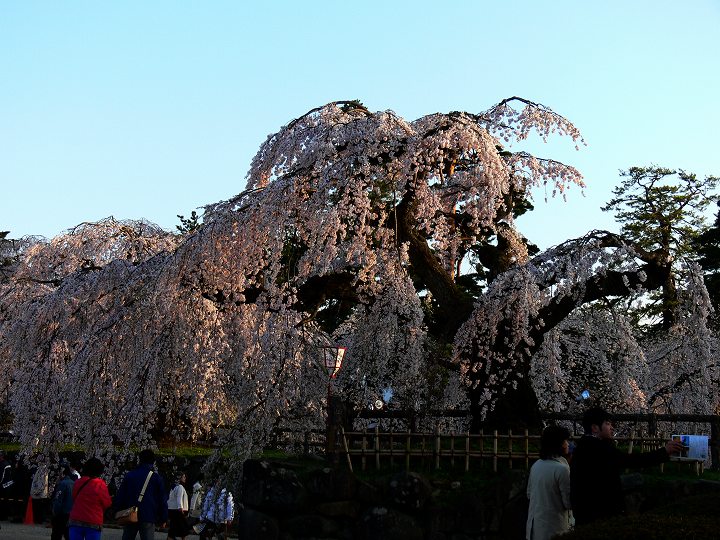 P1110821.jpg