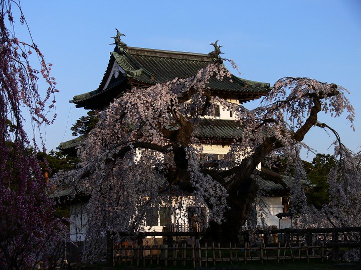 P1110823.jpg