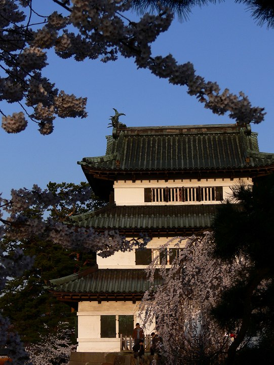 P1110825.jpg