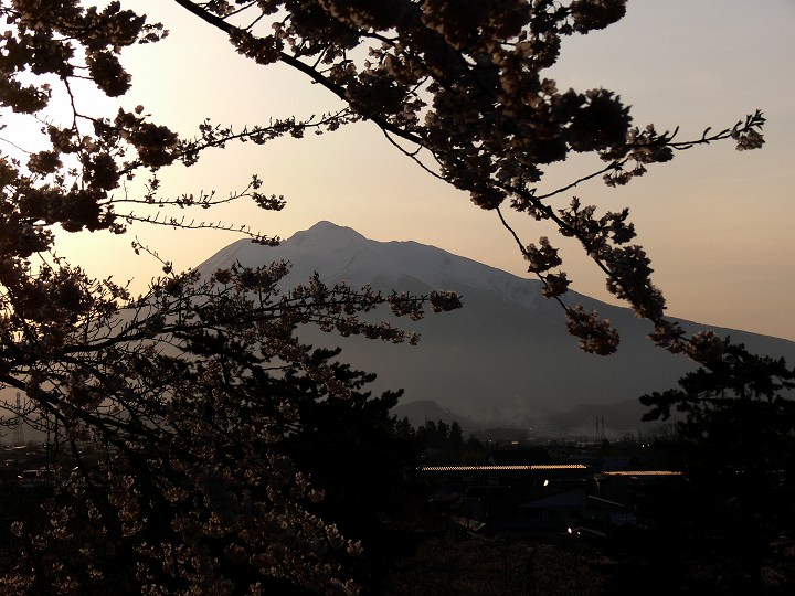 P1110834.jpg