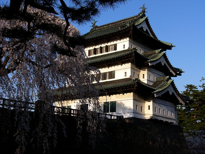 P1130547.jpg